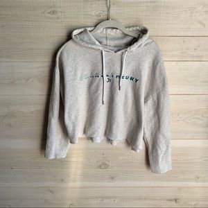 ORANGE THEORY heather gray cropped hooded sweatshirt